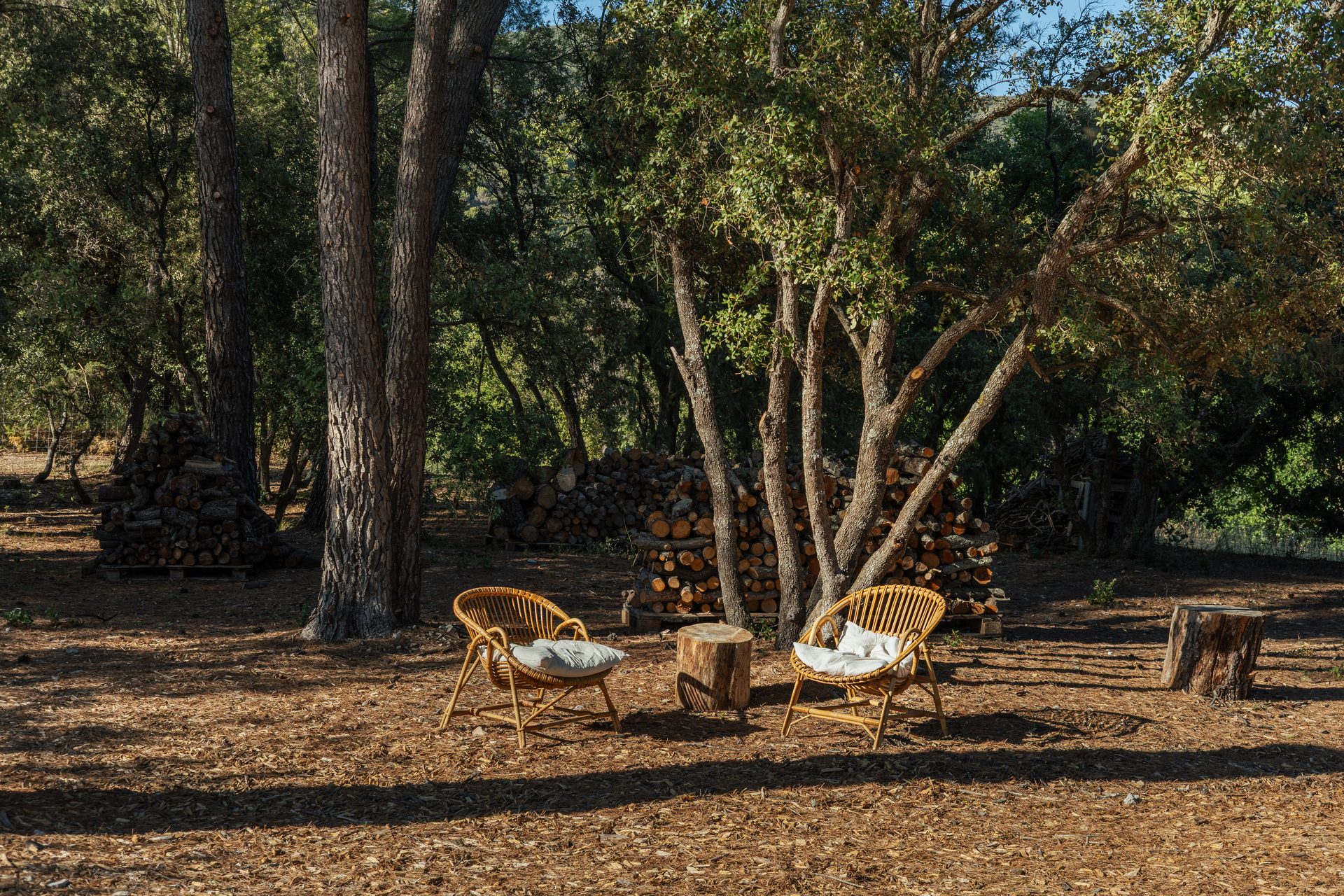 Jardin — fauteuils sous les pins